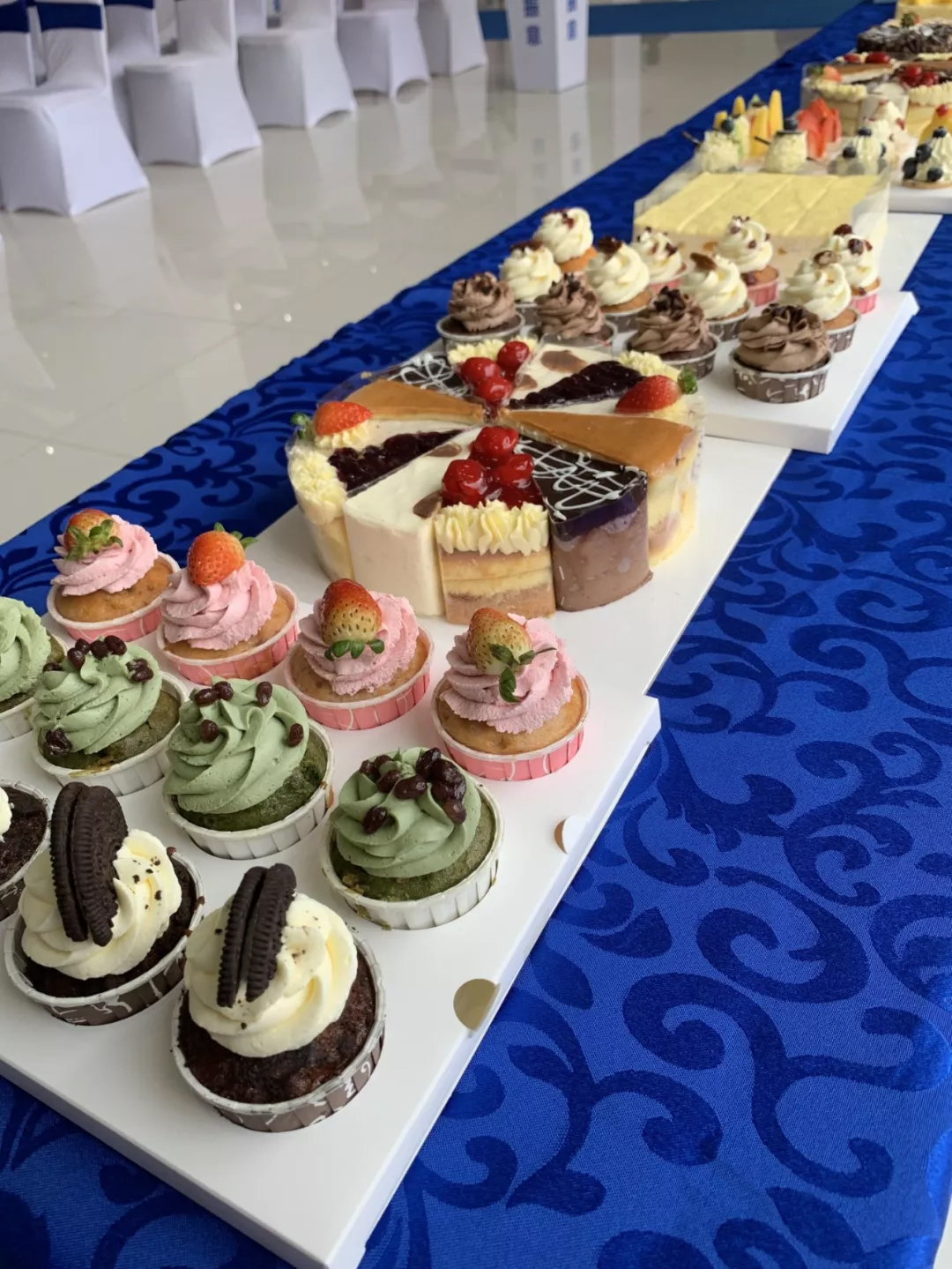 抖圈- 为du而生官网入口